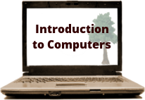 laptop with intro tree